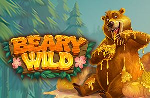 New Pokie Beary Wild